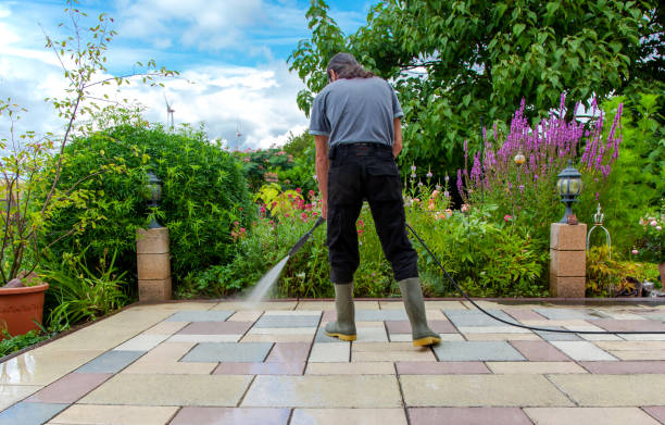 Best Animal Enclosure Cleaning  in Hewlett Harbor, NY